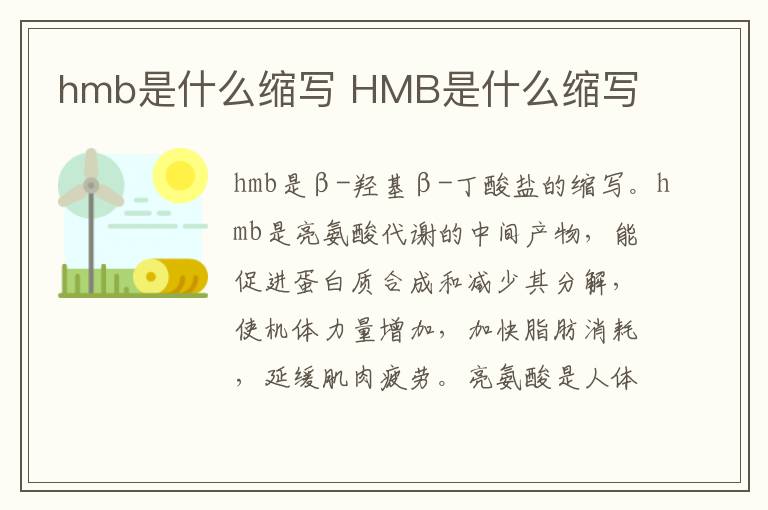 hmb是什么缩写(缩写hb的全称)