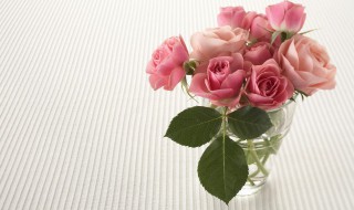 向女神表白送几朵玫瑰花(表白送一朵玫瑰花)